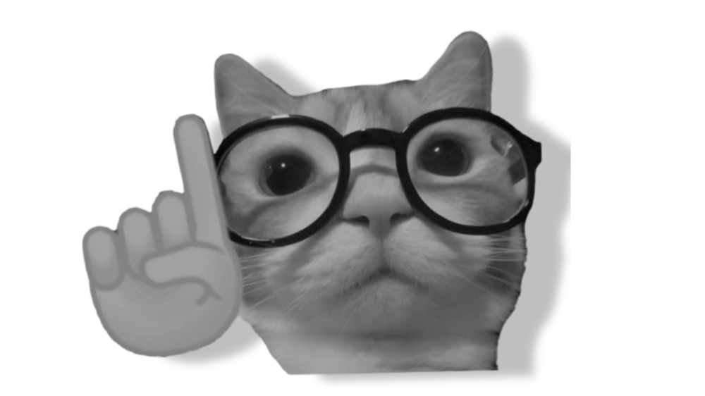 Consultation & Analysis