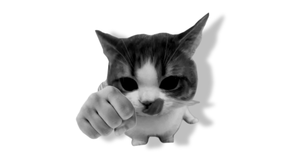 Security Testing & Handover